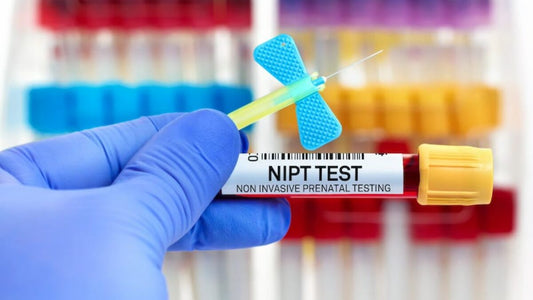 NIPP - Non Invasive Prenatal Paternity Test