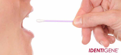 DNA Paternity Test